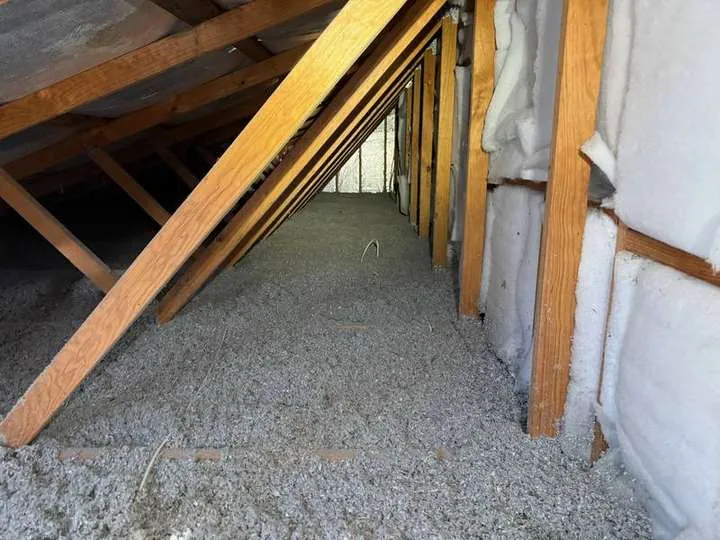 Grey cellulose blanketing a ceiling cavity beside white polyester batts packed into the sloped knee wall, Comfort Zone, Coolum Beach