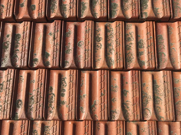 Customer photo: some mould spotted on the underside of the tile roof.
